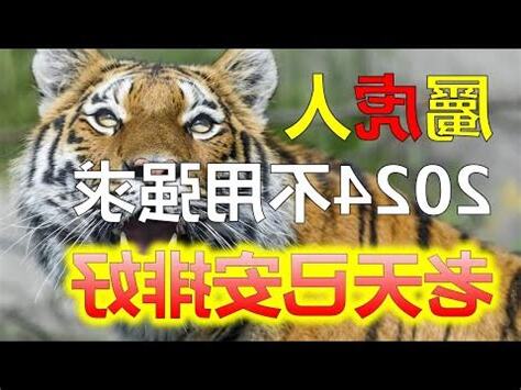 24歲屬虎