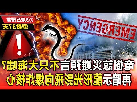 兩條龍