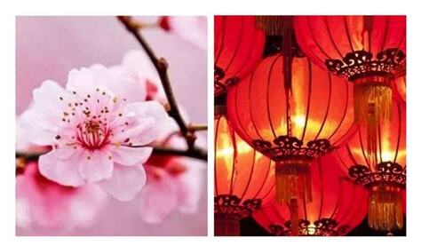 如何招桃花