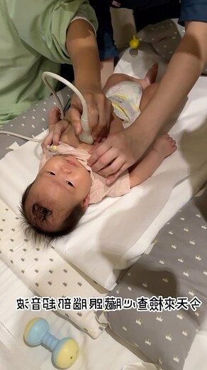 2023兔寶寶