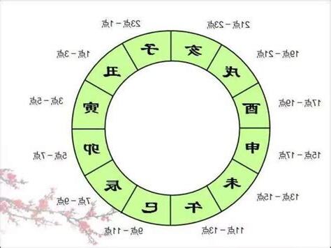 子醜寅卯