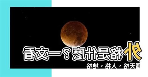 外格是什麼