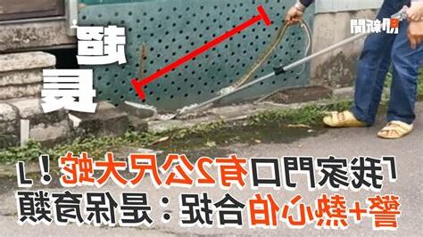 家門口有蛇