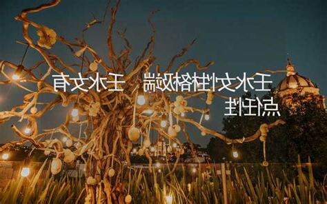 壬水女婚姻