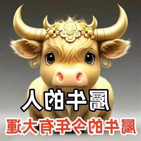 屬牛的人