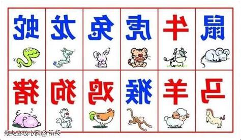 生肖年份配對