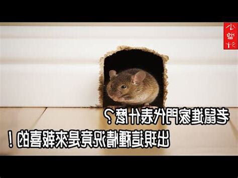 看到老鼠代表