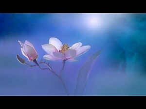藍色代表物