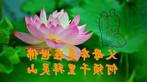 父母是佛