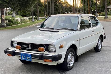 1979羊女