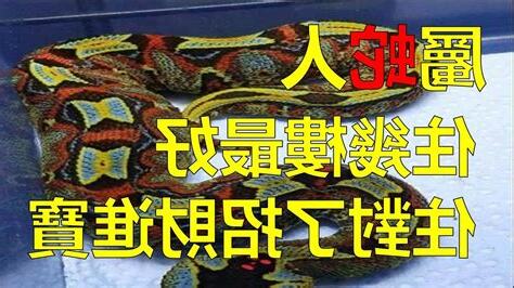 屬蛇適合的名字