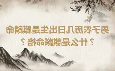 麒麟命格
