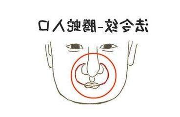 雙龍戲珠面相
