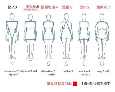 體型分析