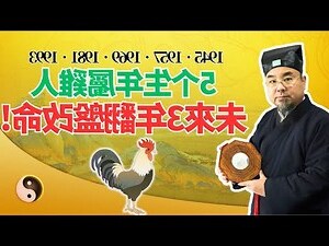 2027年屬相