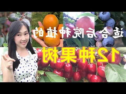 種植果樹