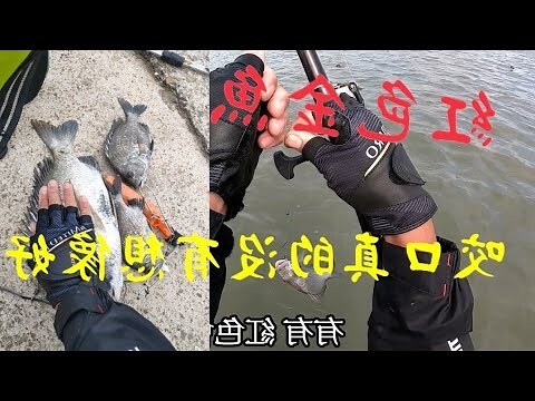紅色金魚