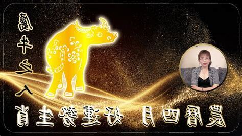 2023屬牛