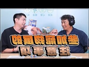 養狗的注意事項