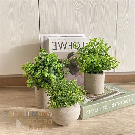 綠化植物