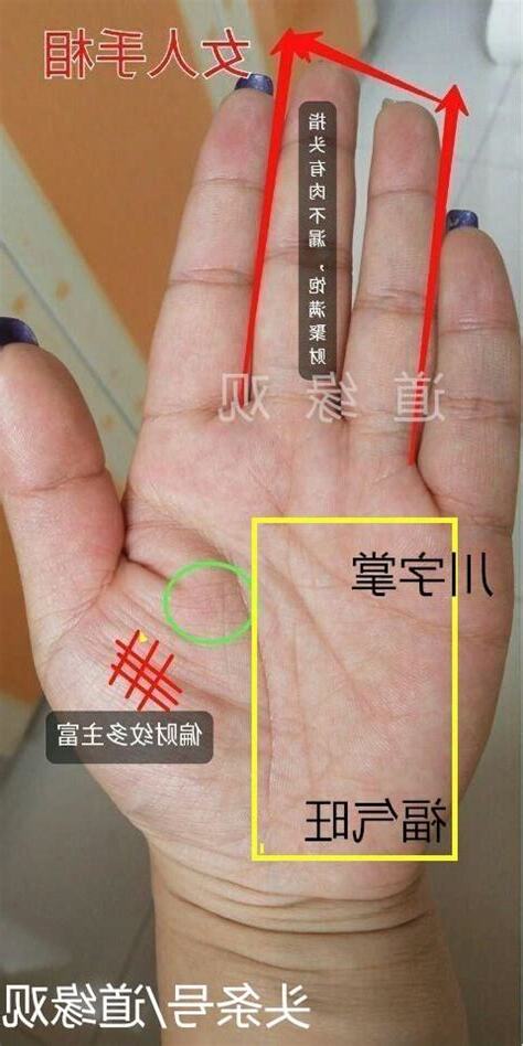 旺夫富贵掌纹
