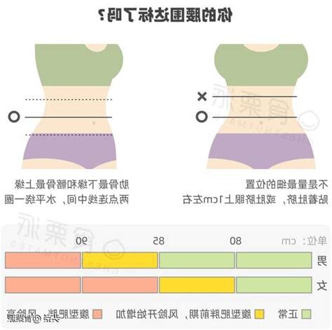 女性腰圍標準