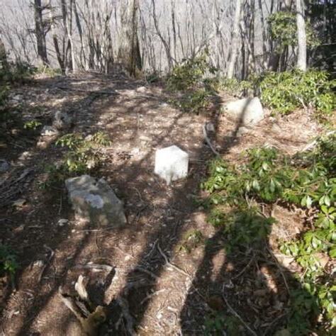 中指山