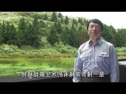 夢到湖水