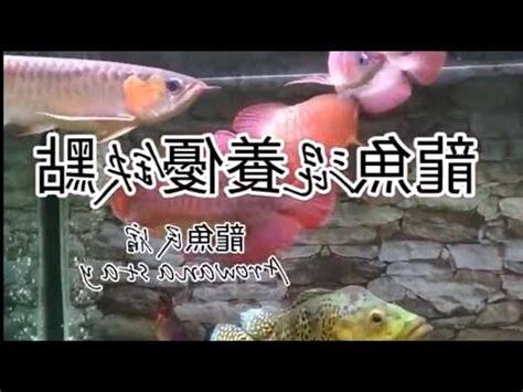 混養魚種