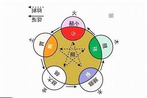 如何知道自己五行
