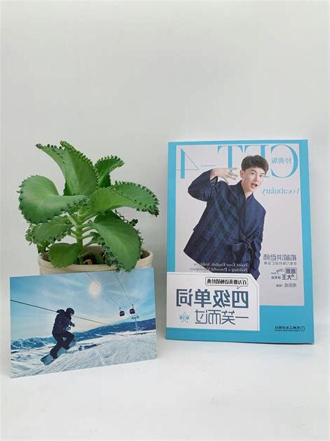 璁意思