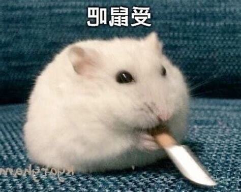 受鼠吧