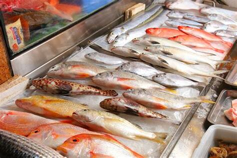 各種魚