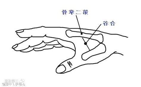 思維穴