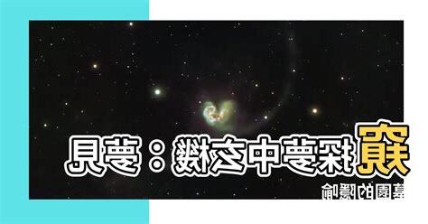 夢見墓園