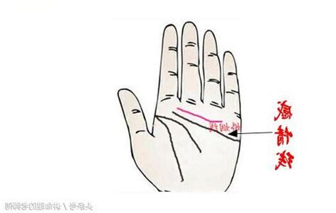 感情線上方多一條線