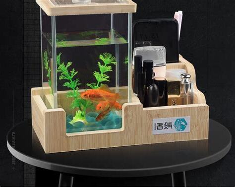 辦公桌魚缸左邊