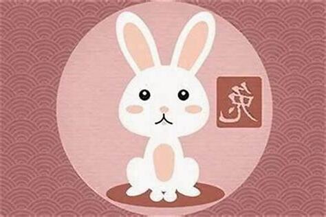 兔子和什么生肖最配