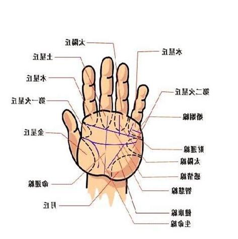 手紋算命