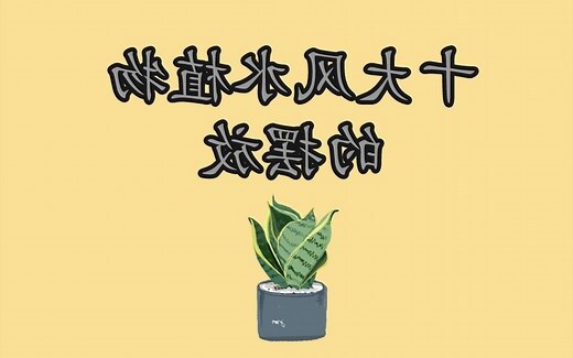 门口植物风水