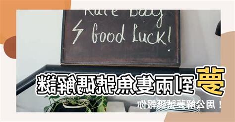 夢到兩隻魚號碼
