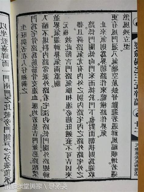 王元極