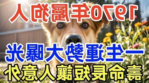 1970屬狗一生運勢