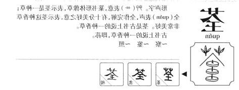 荃五行