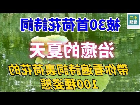 詠荷花詩詞