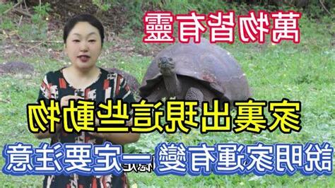 家裡有動物靈