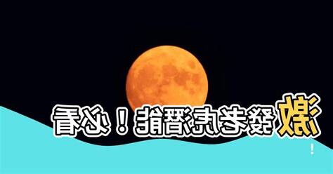 老虎適合的字