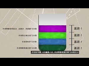 愛尚它負評