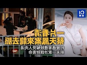 蔡天鳳八字