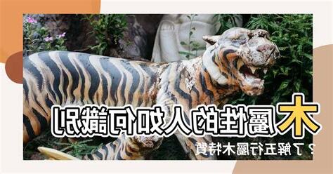 木屬性的人